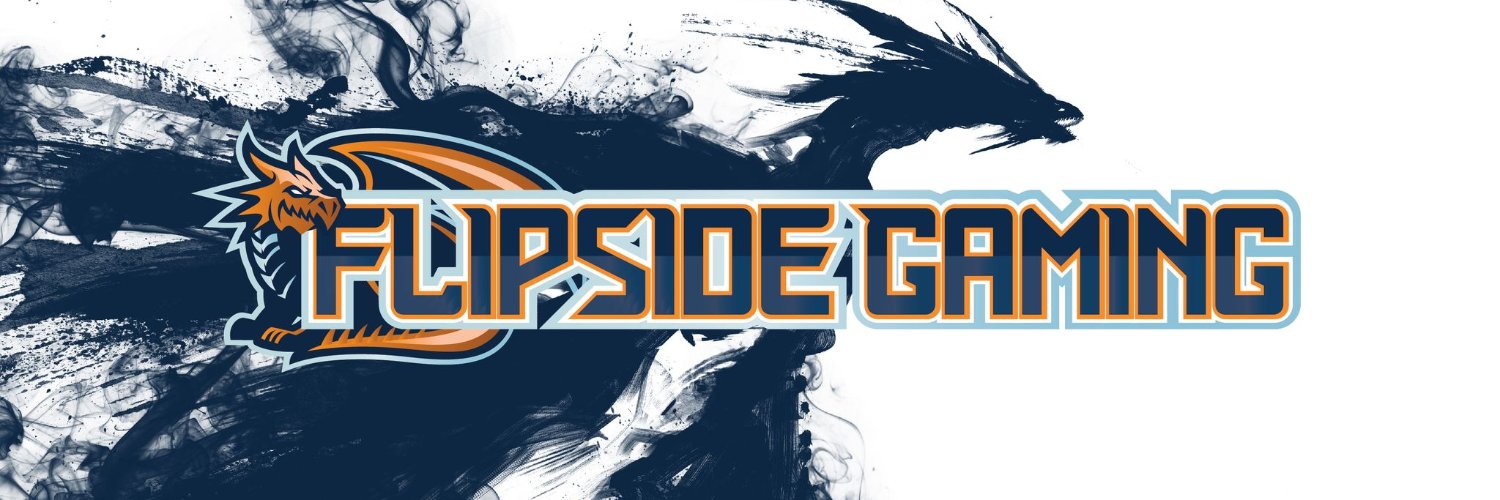 Flipside Gaming banner
