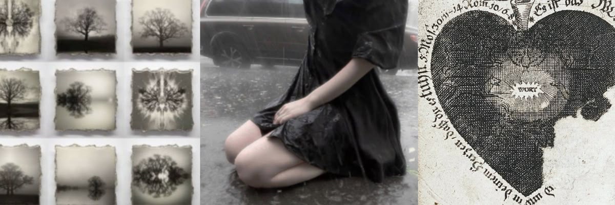 yuwkikat's profile banner image