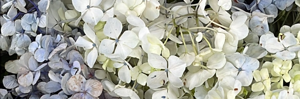 kpop selling account banner