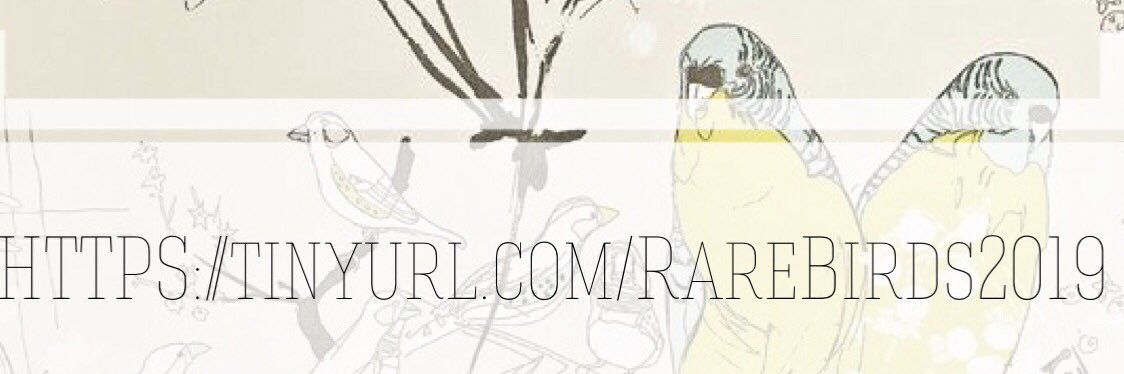 EmilyBarnes37's profile banner image