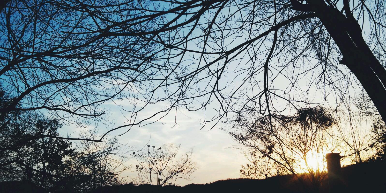 Susanitx_'s profile banner image