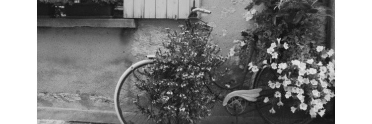 MadeleineArthur's profile banner image