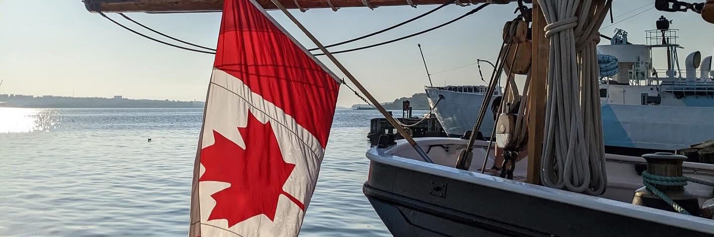 Cheryl Fury @TudorWench banner