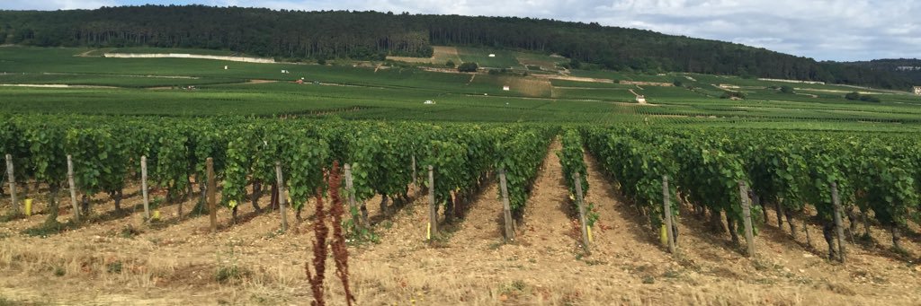 Guillaume Galliot banner