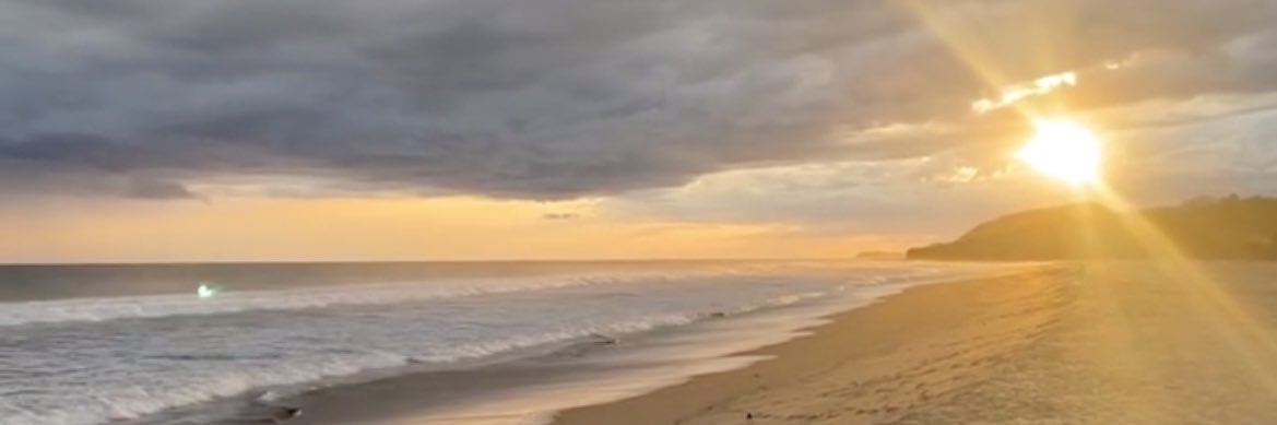 Stephcordob4's profile banner image