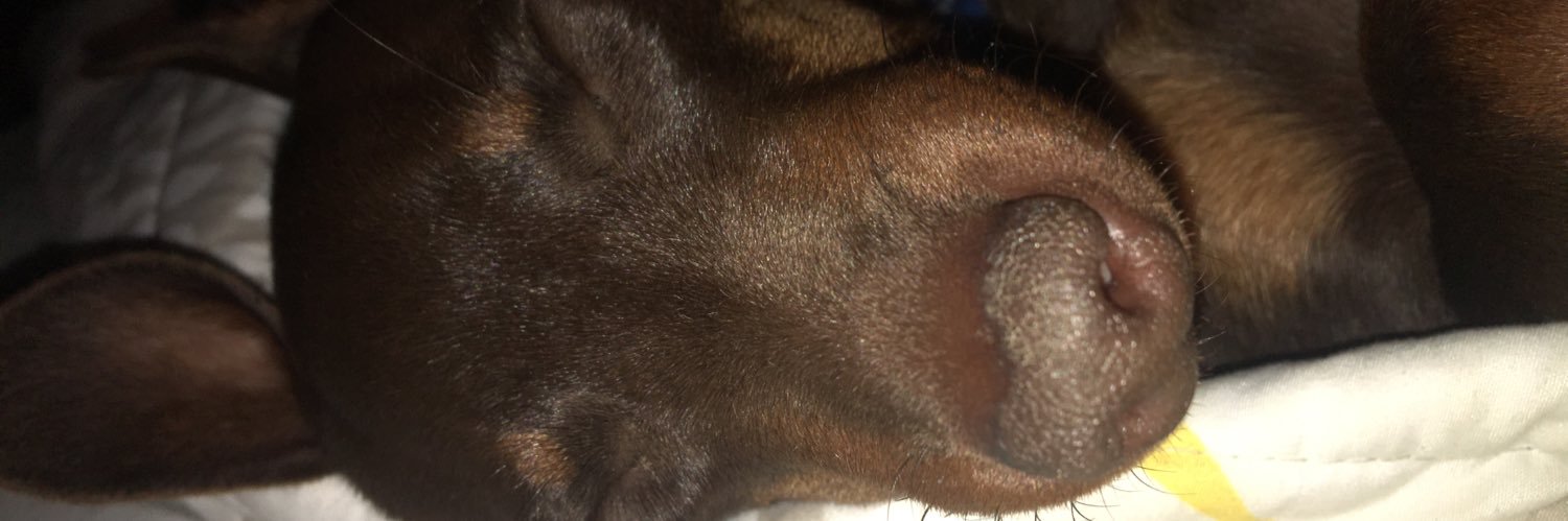 jessie_copeman's profile banner image