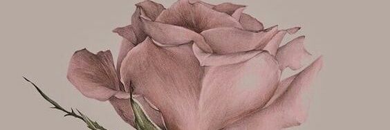 ressaprawira's profile banner image