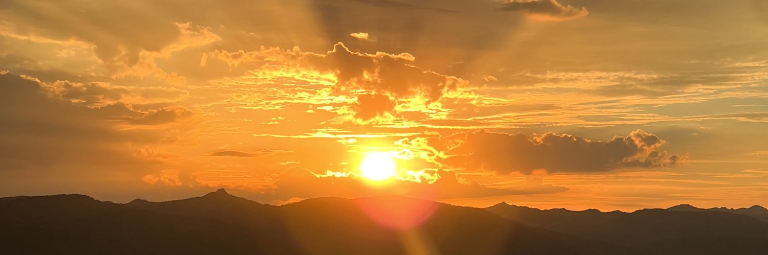Alejandra banner