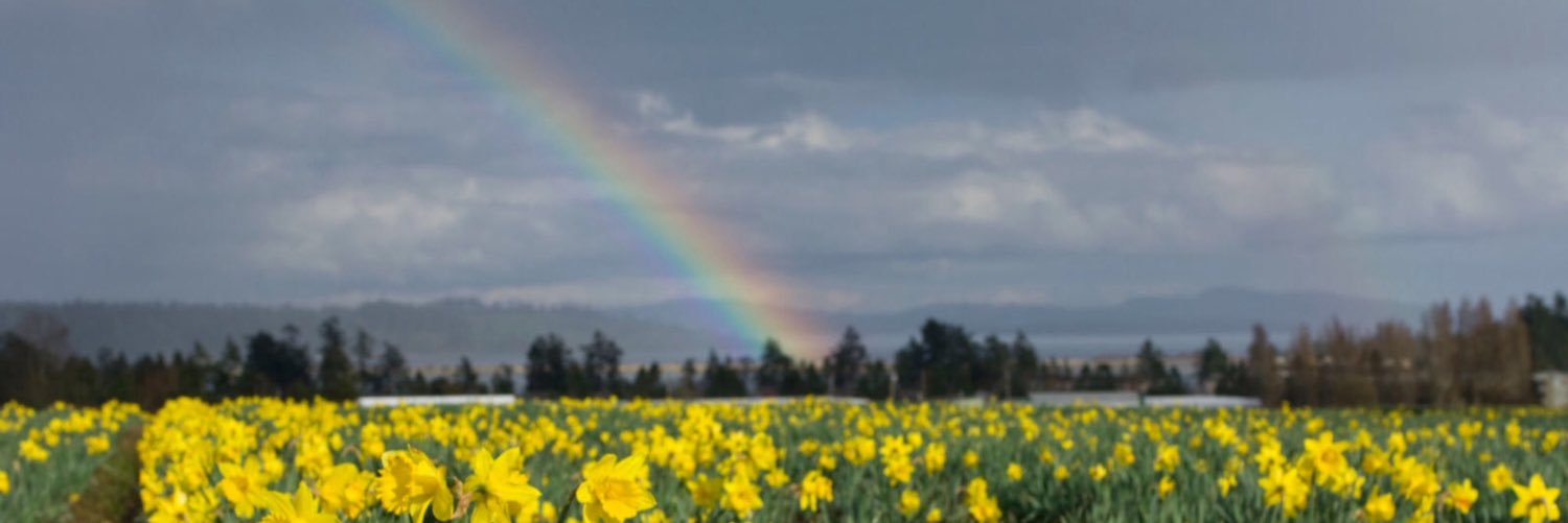 RvaleneW's profile banner image