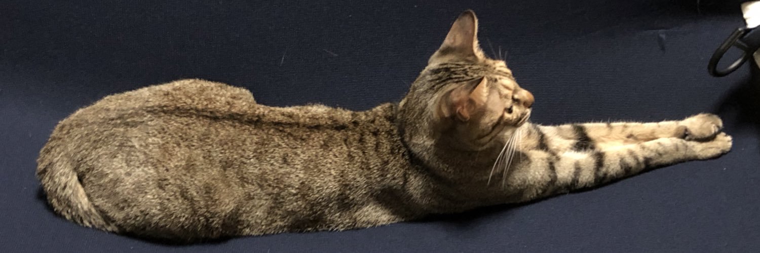 aka banner