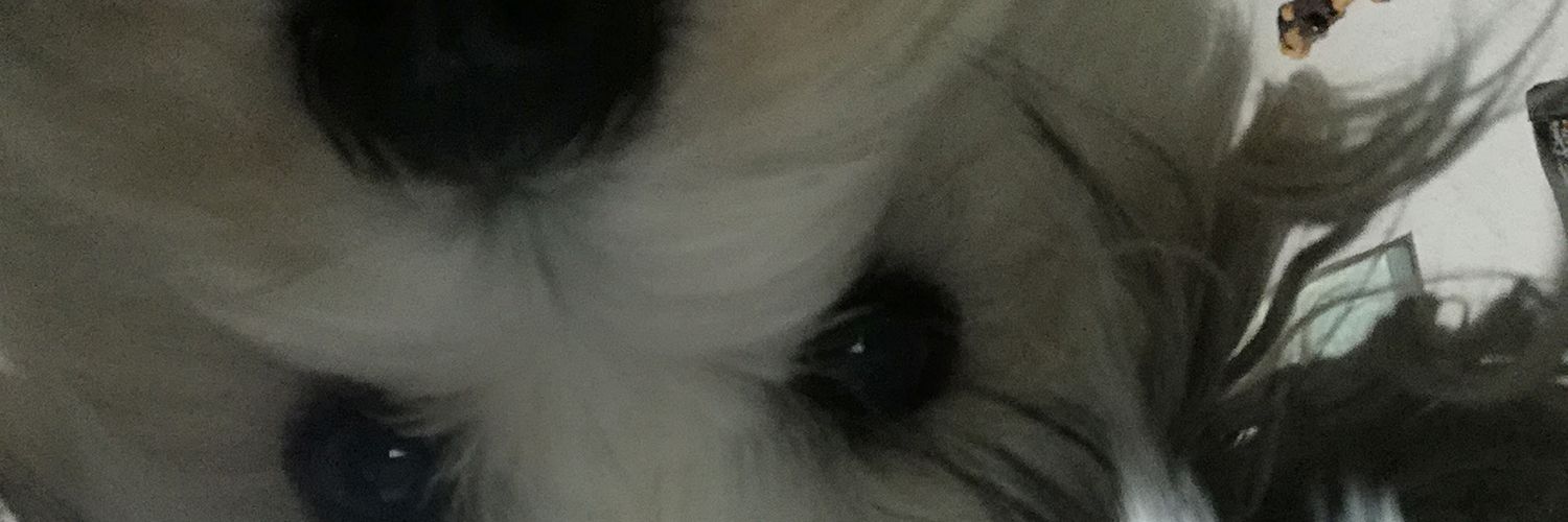 raquimcfly's profile banner image