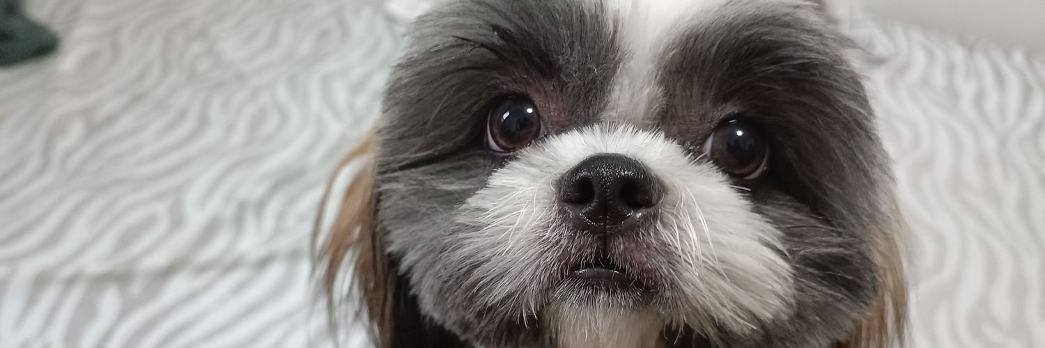 Aystflorece's profile banner image