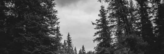 Andrew Dietel banner