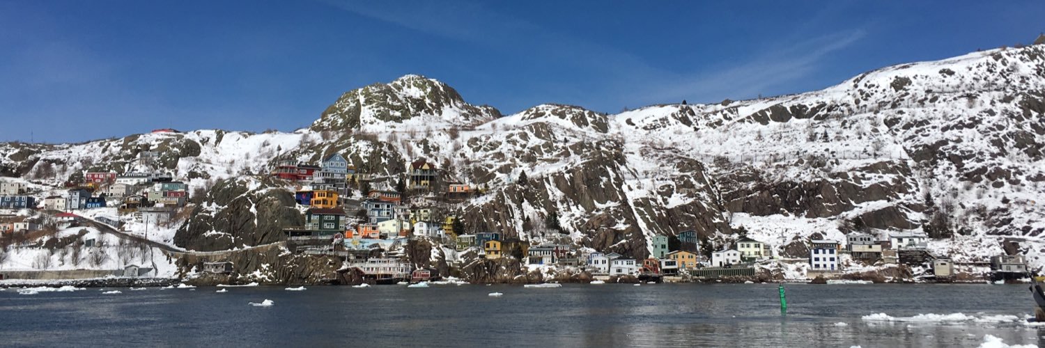 Christopher Mercer banner