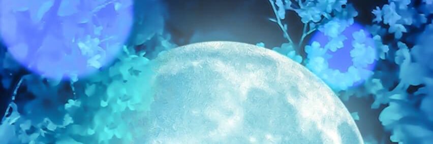 🌟✨✨ banner