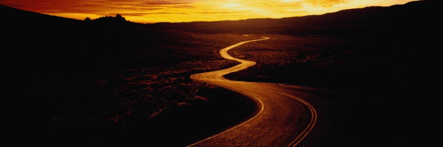 Dave Williams banner