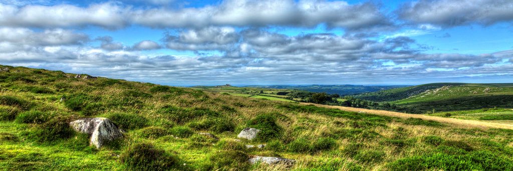 REACH Team - Devon County Council banner