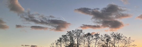 lenapple Profile Banner