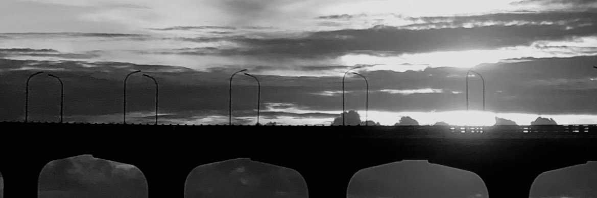 alishaffah's profile banner image