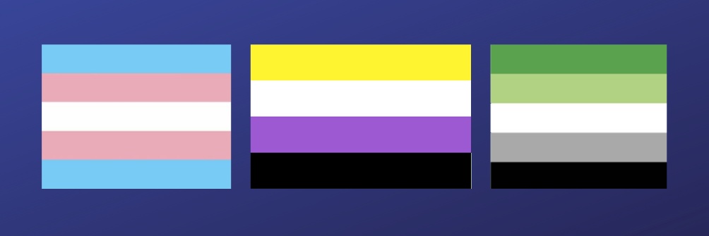 Quin banner