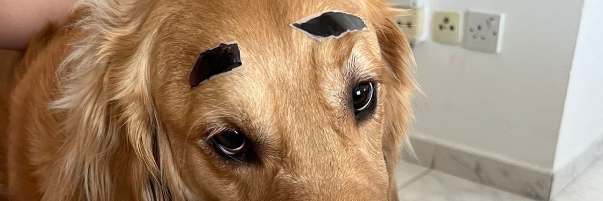 ponioo's profile banner image