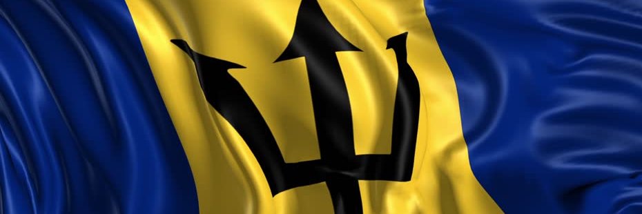 Bizman246's profile banner image