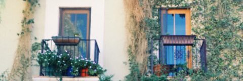zoe banner