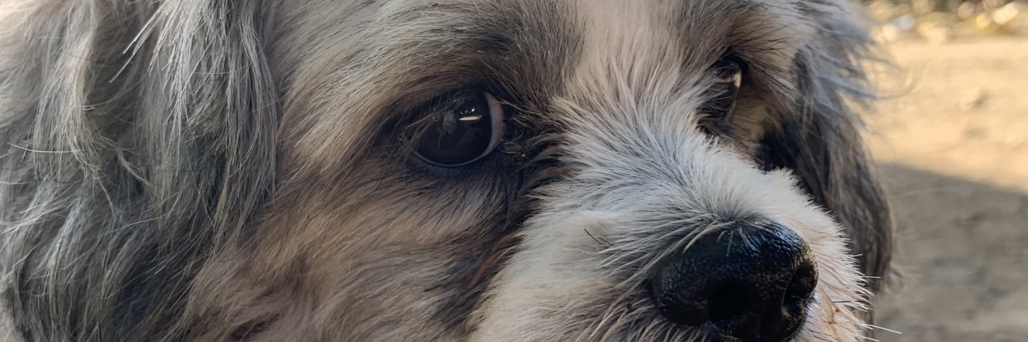 iantanjocooo's profile banner image
