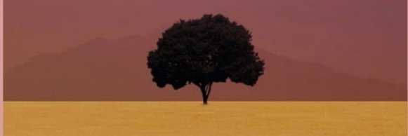 SERAPSODY's profile banner image