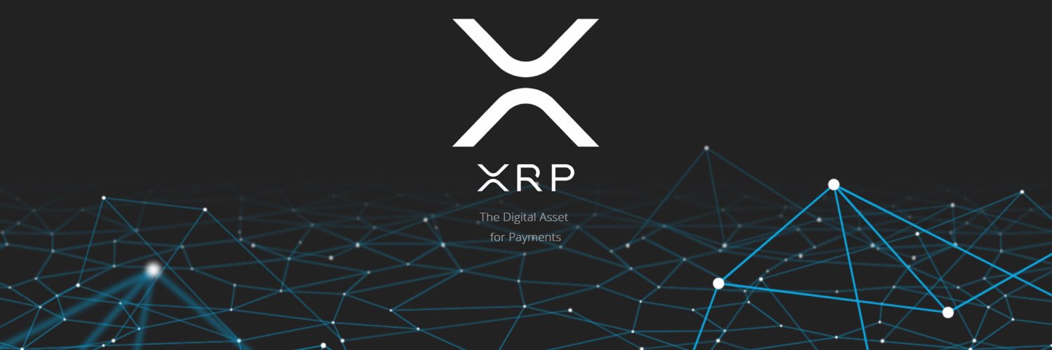 xrpurp skurp banner