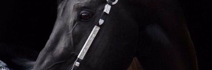 OrabaBani's profile banner image
