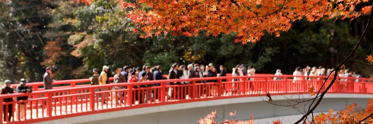 ren4az's profile banner image