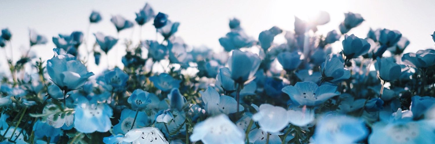 _si_k_mi_'s profile banner image