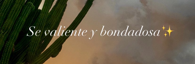 soyvidaa's profile banner image