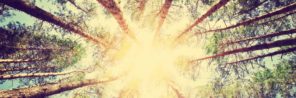 Comunecoit's profile banner image