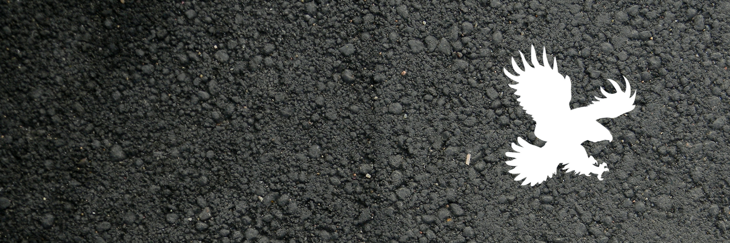 RoadQuakeRAPTOR's profile banner image