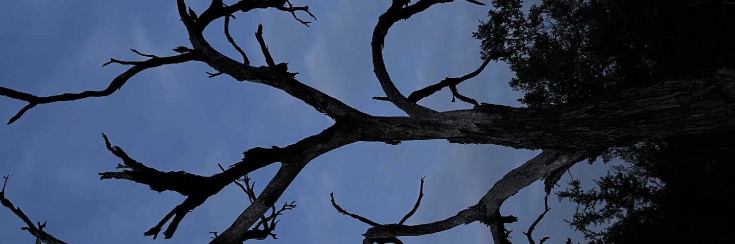 AyooSus's profile banner image