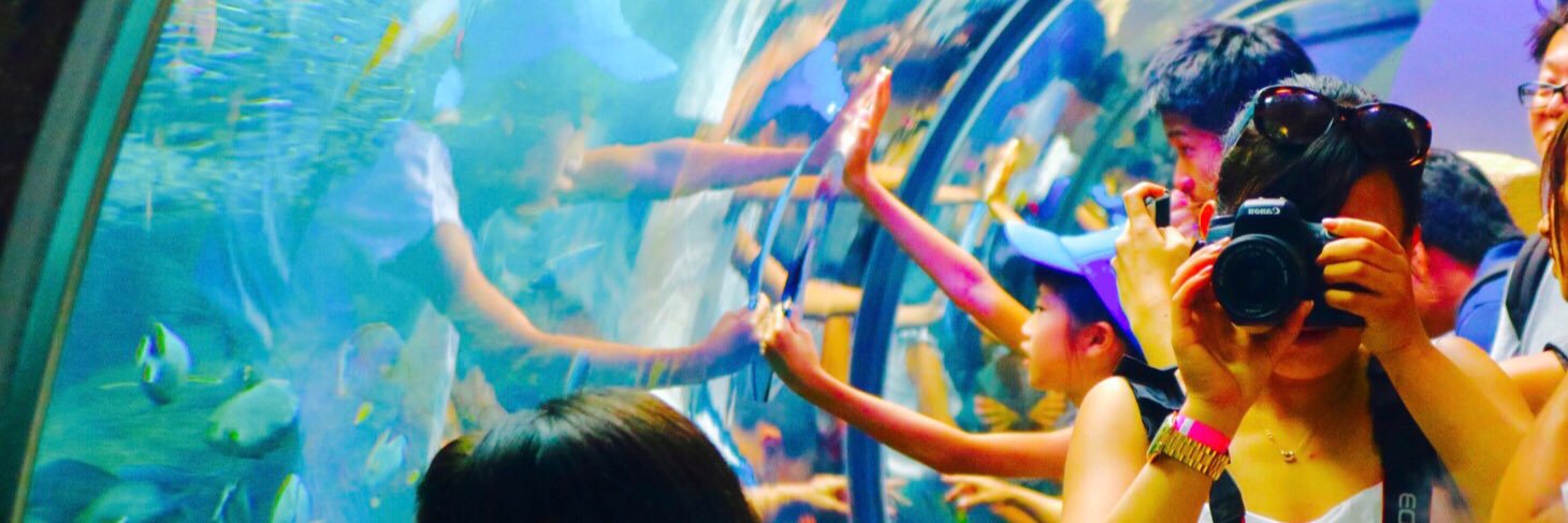 scentquakesETH's profile banner image