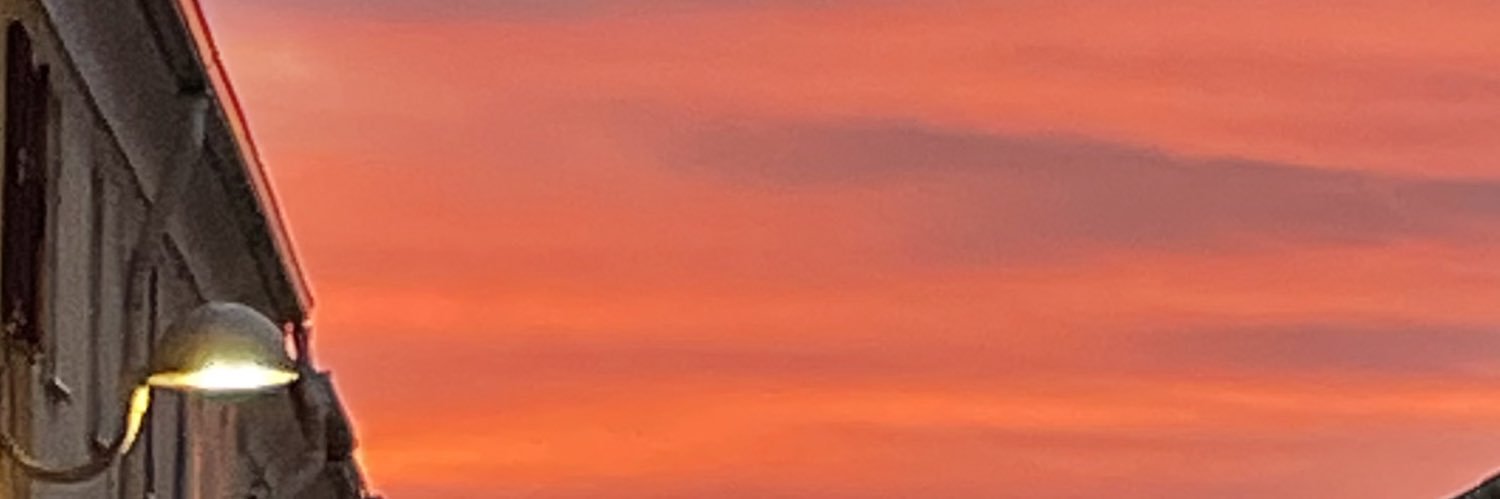 Raquel Cordonié banner