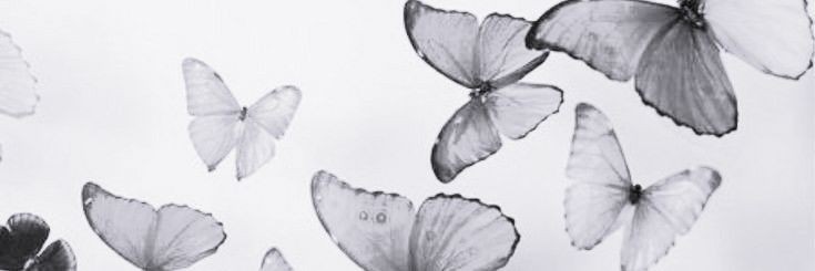 hiraichipeach's profile banner image