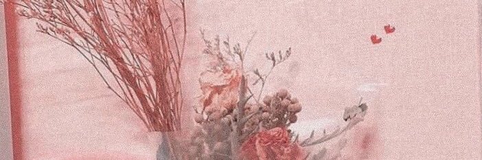Xinxinxol's profile banner image