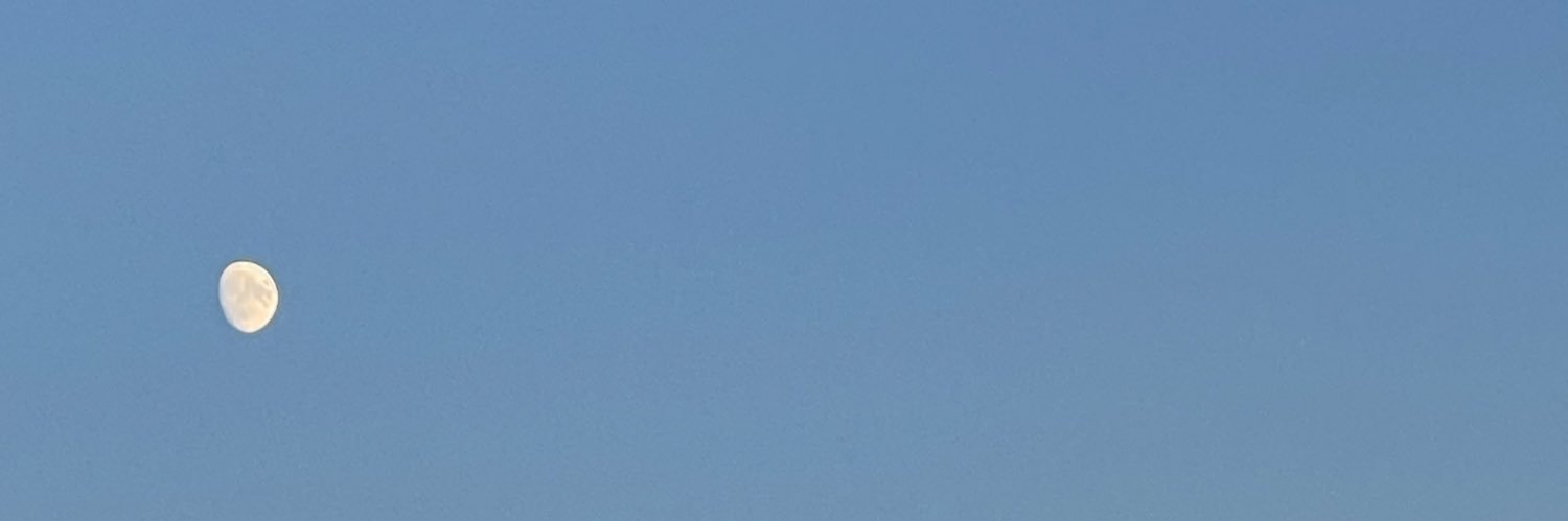 frobotico_'s profile banner image