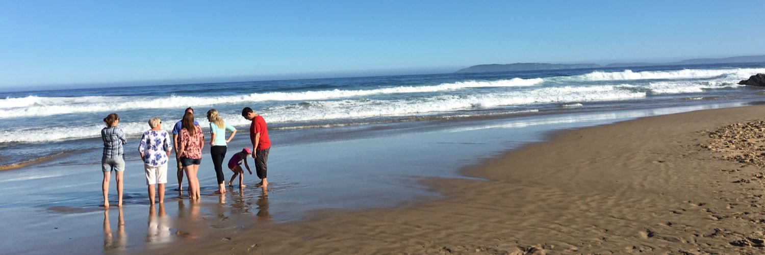 Melforrest's profile banner image