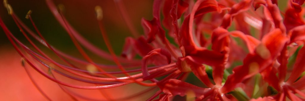 hope_720's profile banner image