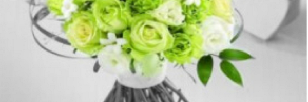 LadyofLyme Profile Banner