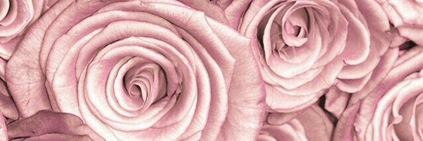 RoseyCahill Profile Banner