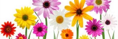 FCCC_VT's profile banner image
