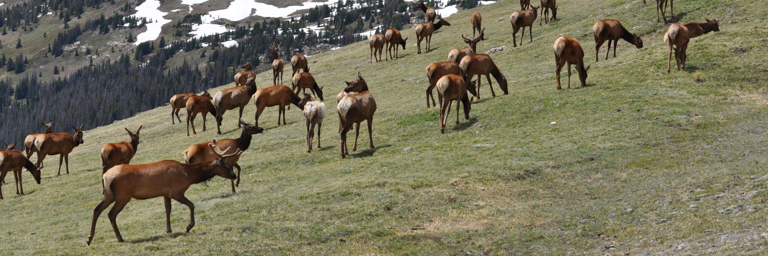 Michael Buchsbaum banner