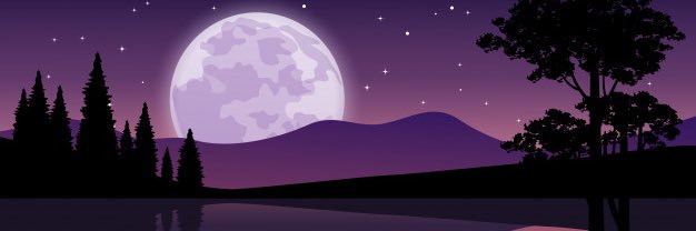 Austin banner