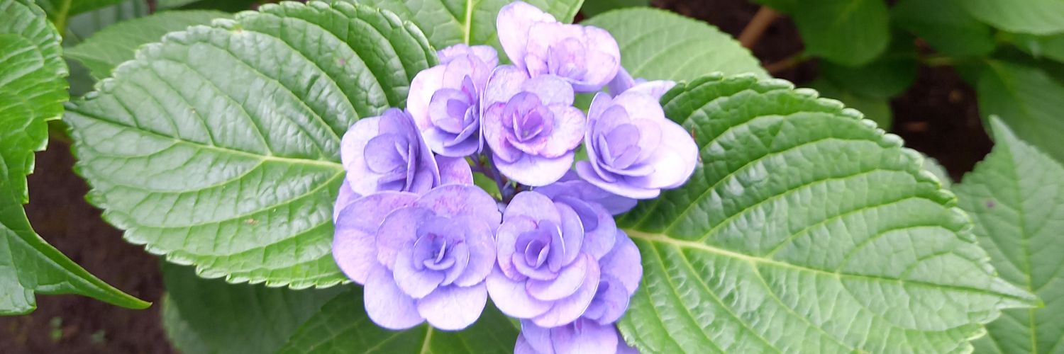 yako0624's profile banner image